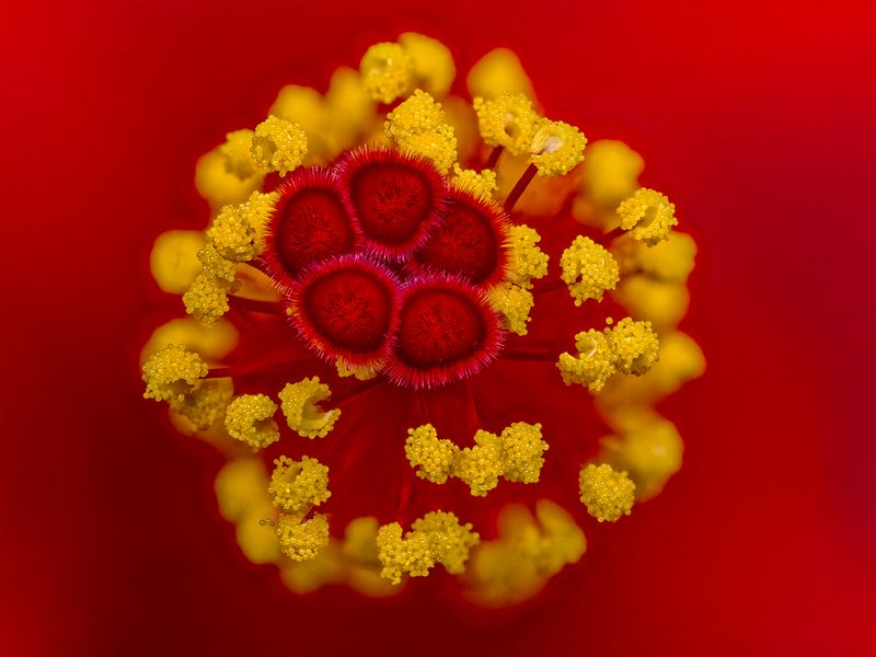 2024-04-28-11.01.00 ZS PMax_100_openWith.jpg