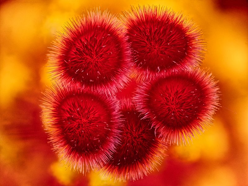 2024-04-29-09.51.06 ZS PMax_openWith.jpg