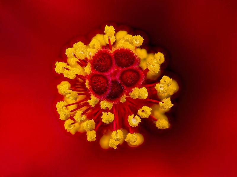 2024-04-29-10.45.11 ZS PMax_100_openWith.jpg