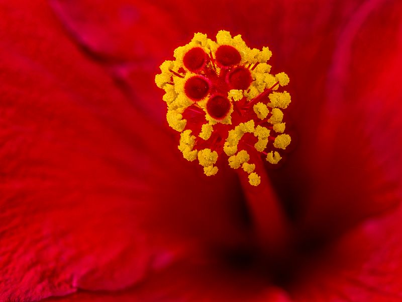 2024-05-02-02.23.43 ZS PMax_openWith.jpg