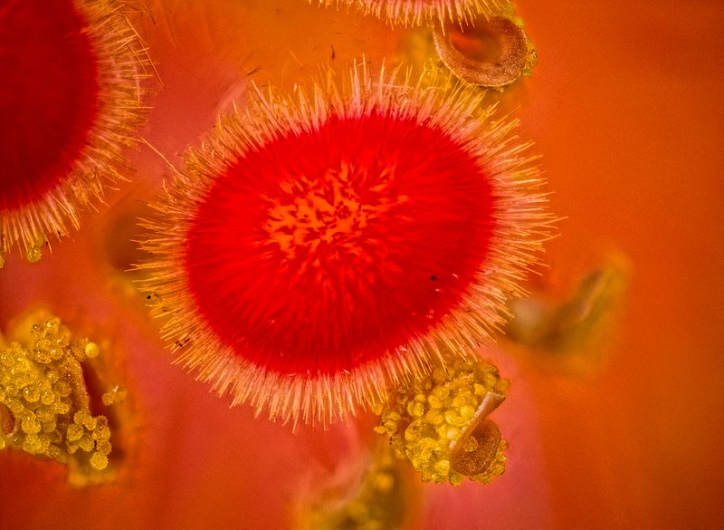 2024-05-02-12.10.18 ZS PMax_openWith.jpg