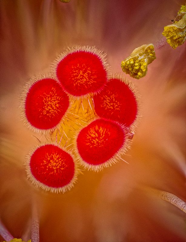 2024-05-04-06.35.24 ZS PMax_openWith.jpg