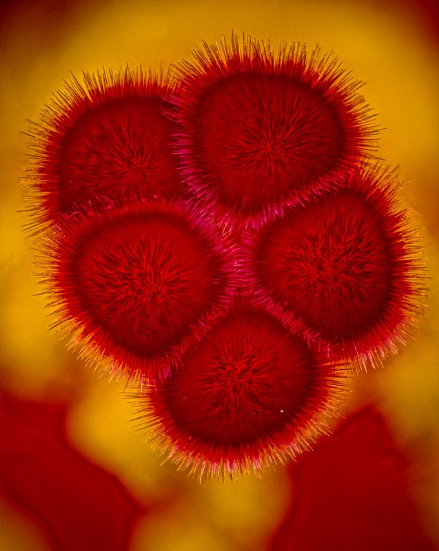 2024-05-05-09.10.21 ZS PMax_openWith.jpg