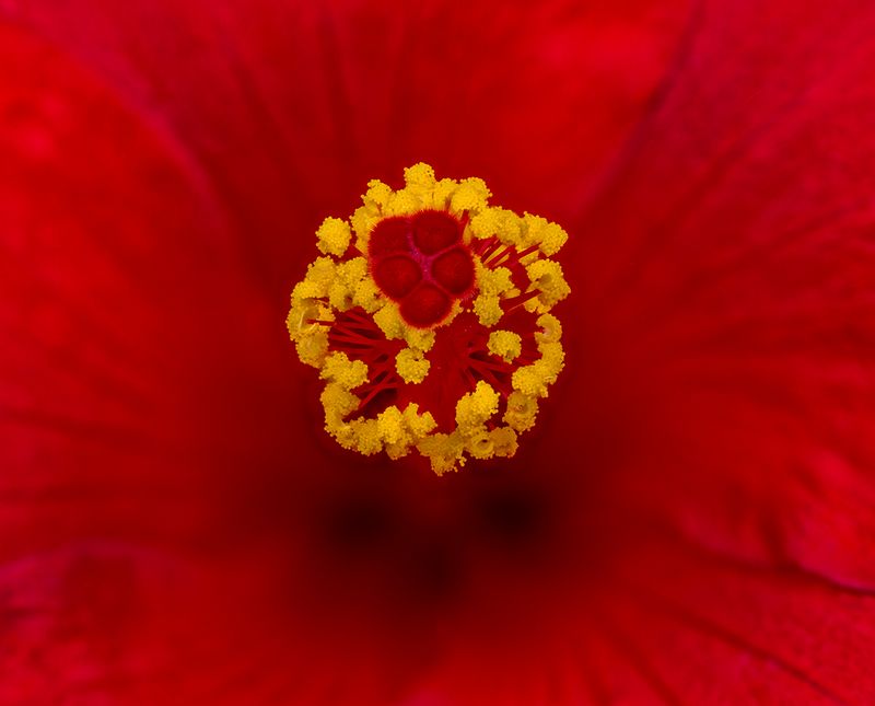 2024-05-05-09.37.09 ZS PMax_openWith.jpg