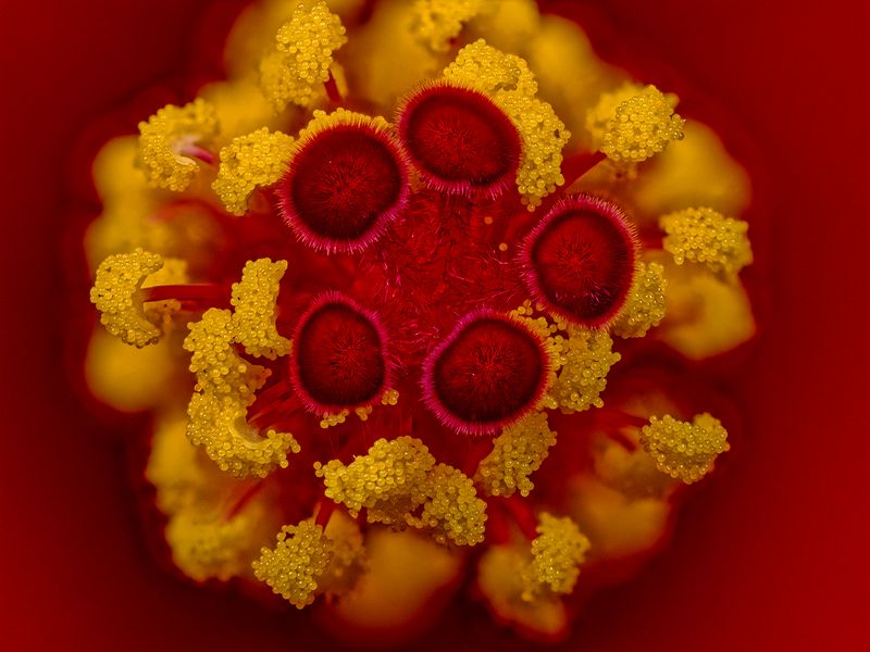 2024-05-07-03.01.41 ZS PMax_openWith.jpg