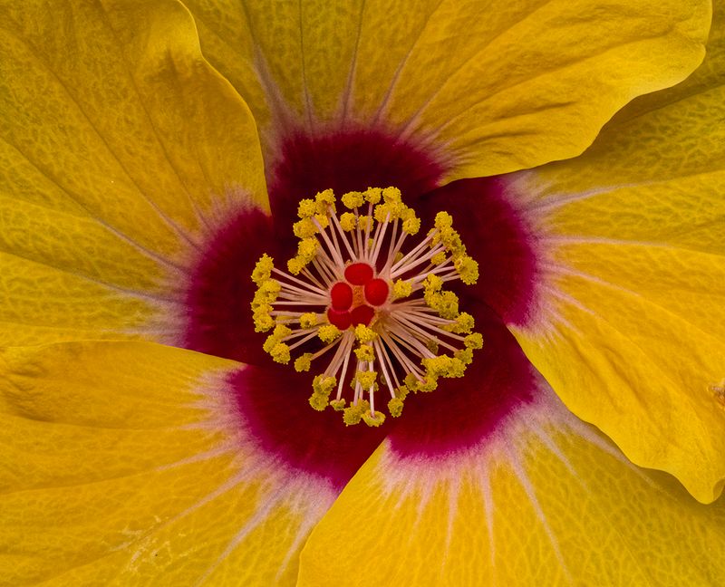 2024-05-08-11.26.20 ZS PMax_openWith.jpg