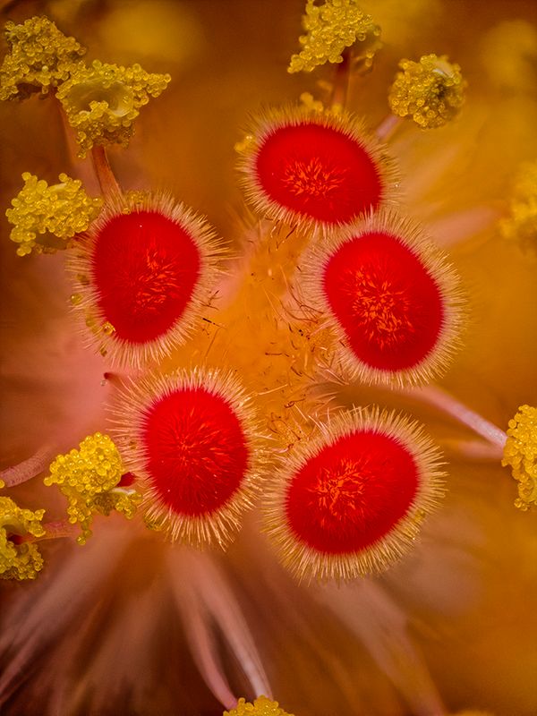 2024-05-09-05.02.44 ZS PMax_openWith.jpg