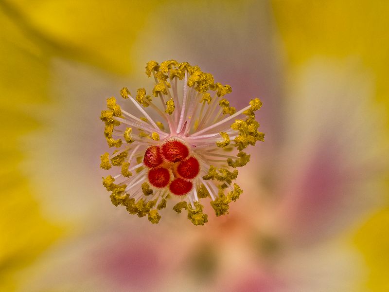 2024-05-11-11.06.52 ZS PMax_openWith.jpg