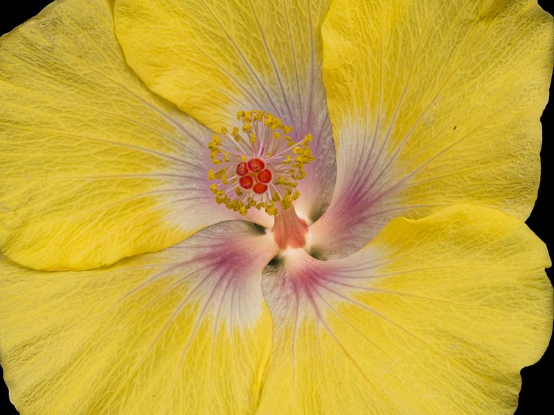 2024-05-11-11.12.10 ZS PMax_openWith.jpg