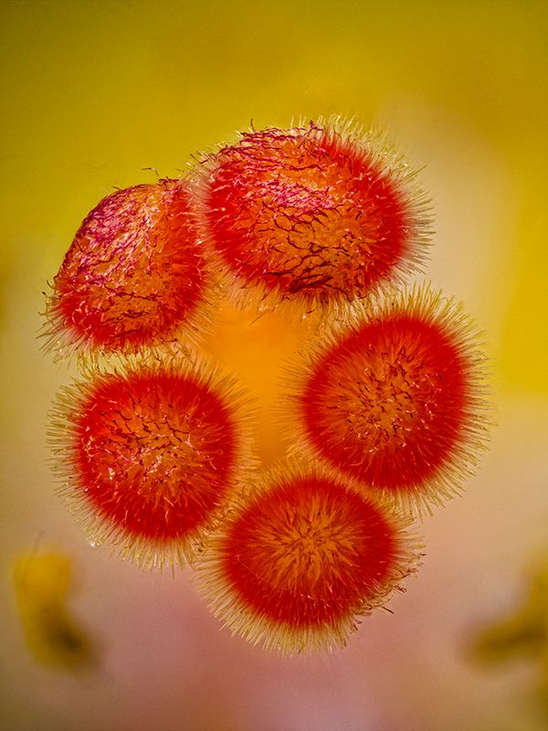 2024-05-11-12.19.08 ZS PMax_openWith.jpg