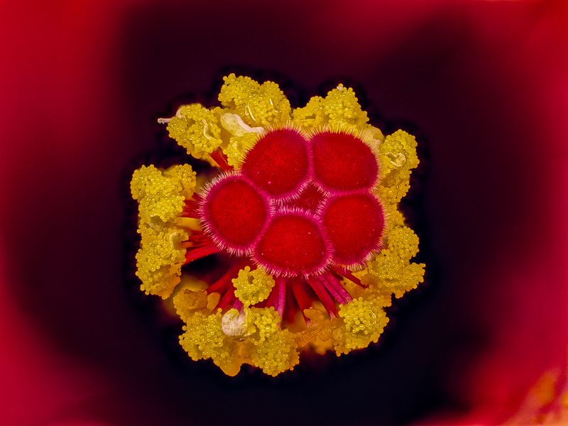 2024-05-14-07.16.32 ZS PMax_openWith.jpg