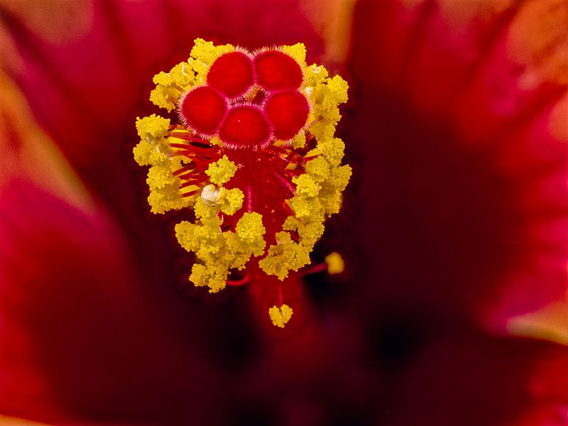 2024-05-14-09.21.36 ZS PMax_openWith.jpg