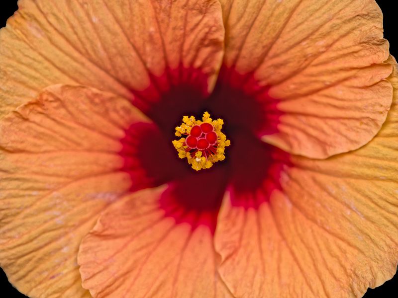 2024-05-14-10.23.57 ZS PMax_30_openWith.jpg