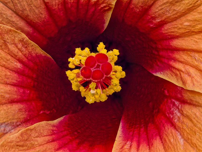 2024-05-14-10.38.03 ZS PMax_openWith.jpg