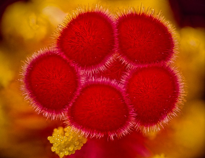 2024-05-14-08.02.49 ZS PMax_openWith.jpg