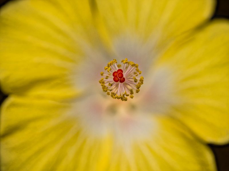 2024-05-14-11.48.09 ZS PMax_20_openWith.jpg