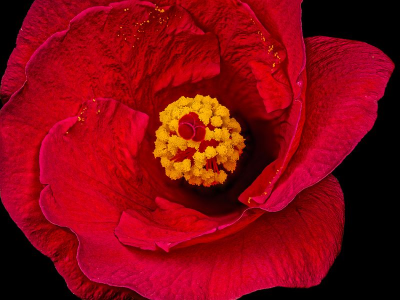 2024-05-15-08.17.21 ZS PMax_openWith.jpg