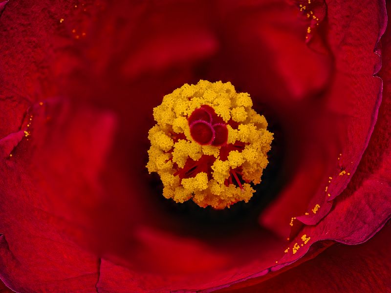 2024-05-15-09.04.28 ZS PMax_65_openWith.jpg