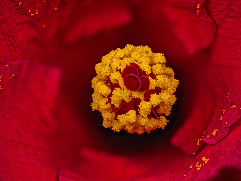 2024-05-15-09.17.11 ZS PMax_70_openWith.jpg