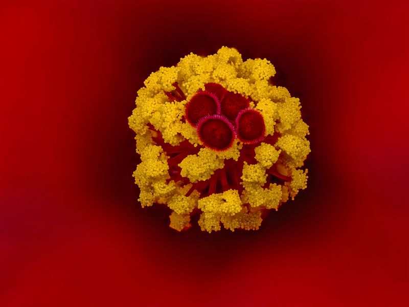 2024-05-15-12.12.11 ZS PMax_openWith.jpg