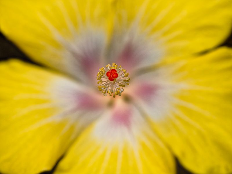2024-05-16-03.13.45 ZS PMax_30_openWith.jpg