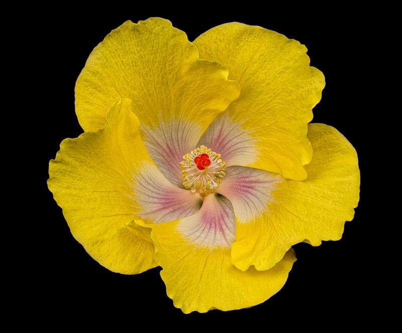 2024-05-16-07.51.21 ZS PMax_openWith.jpg