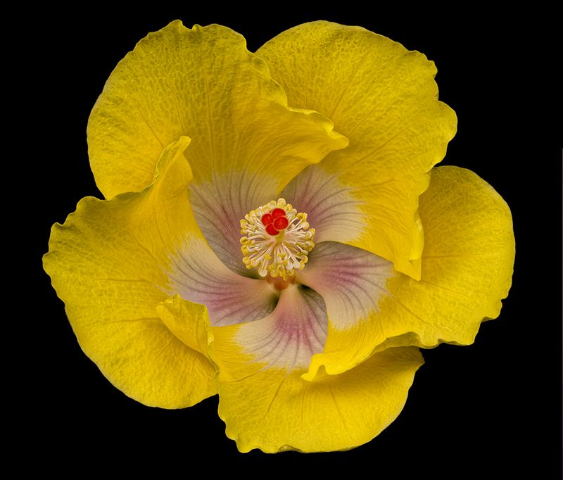 2024-05-16-08.10.13 ZS PMax_openWith.jpg