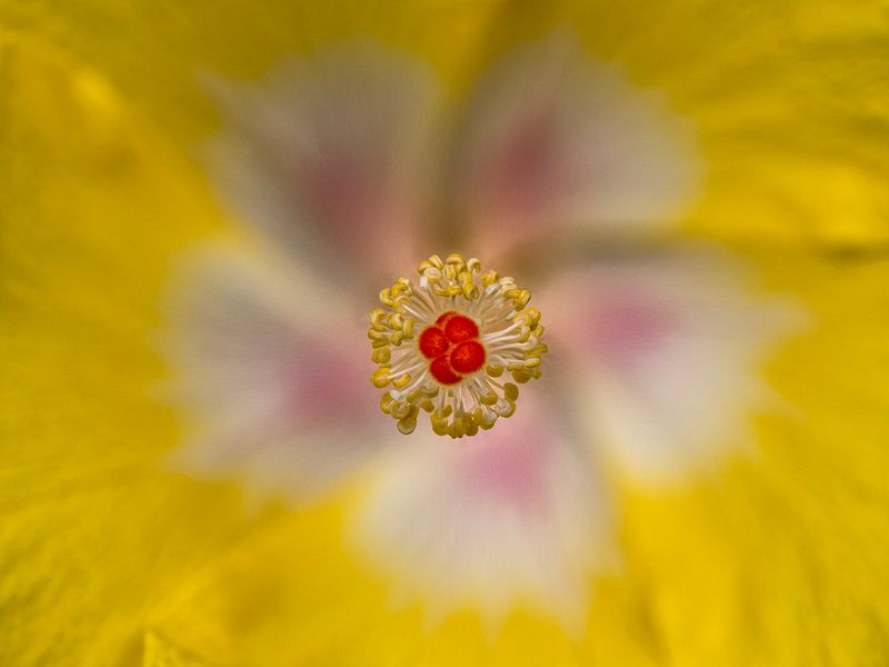 2024-05-16-09.11.03 ZS PMax_39_openWith.jpg