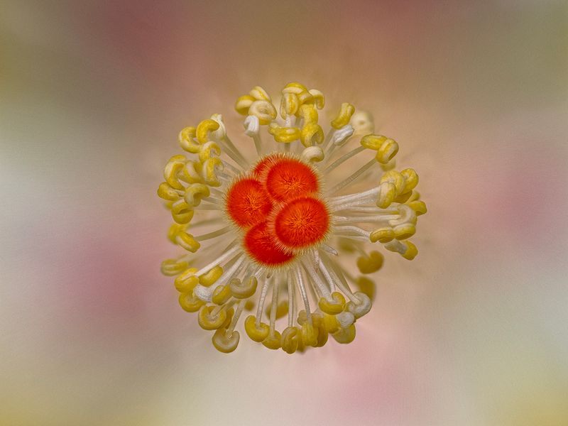 2024-05-16-09.40.06 ZS PMax_openWith.jpg