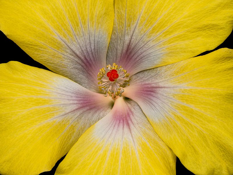 2024-05-16-09.49.21 ZS PMax_openWith.jpg