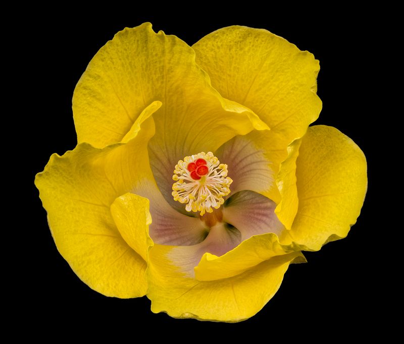 2024-05-16-04.09.22 ZS PMax_openWith.jpg