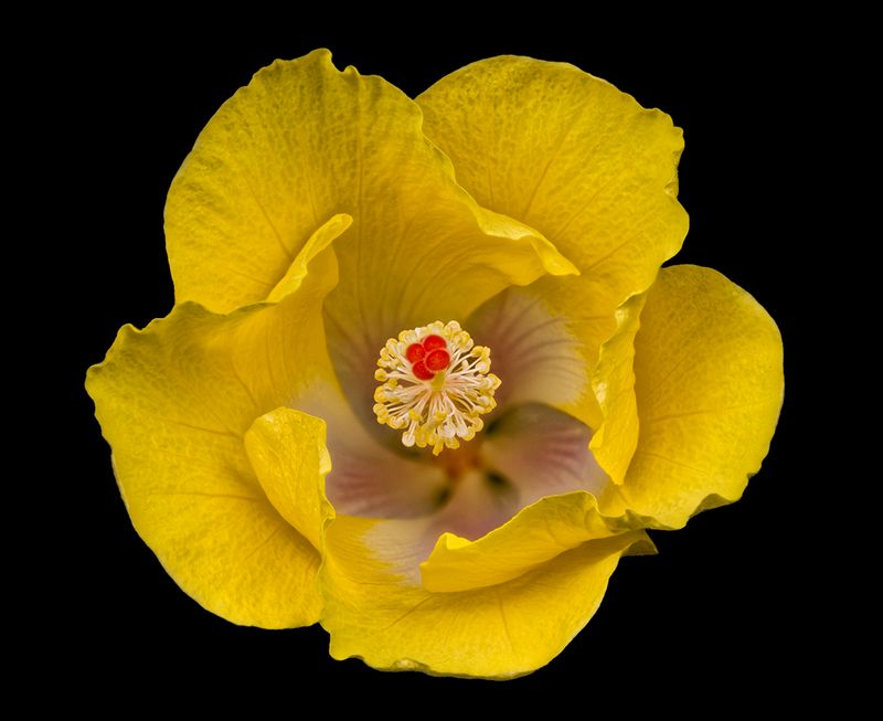 2024-05-16-04.12.40 ZS PMax_50_openWith.jpg