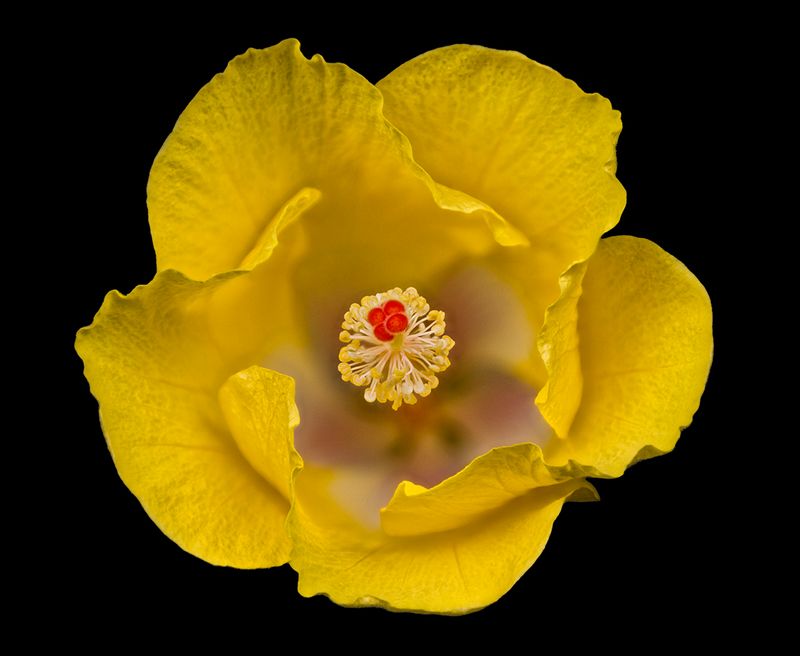 2024-05-16-04.15.19 ZS PMax_30_openWith.jpg