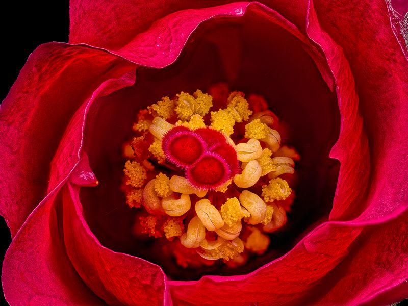 2024-05-17-08.53.51 ZS PMax_openWith.jpg