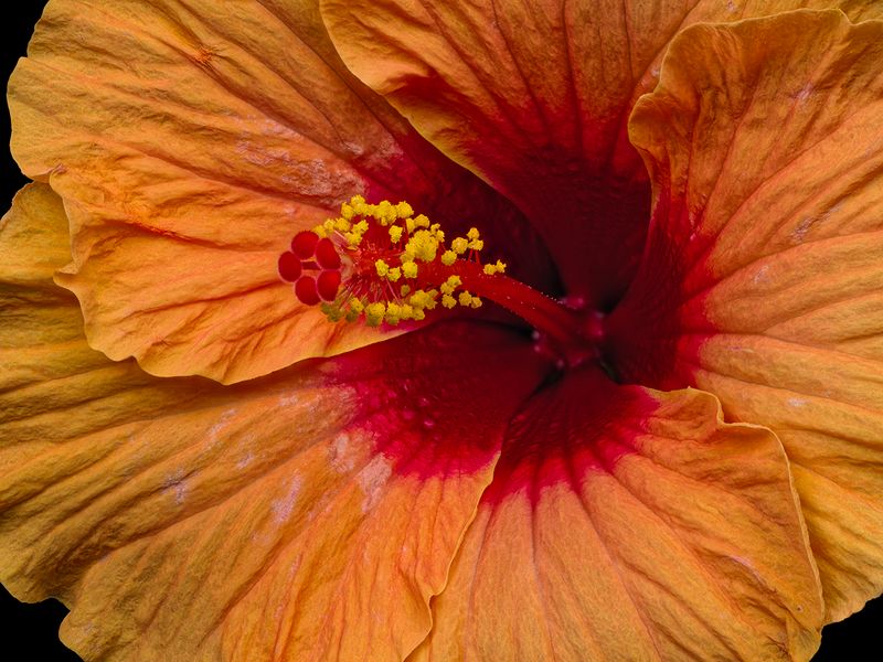 2024-05-16-06.51.38 ZS PMax_openWith.jpg