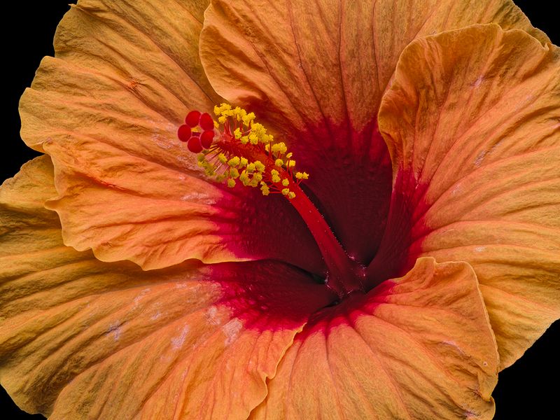 2024-05-16-06.58.35 ZS PMax_openWith.jpg