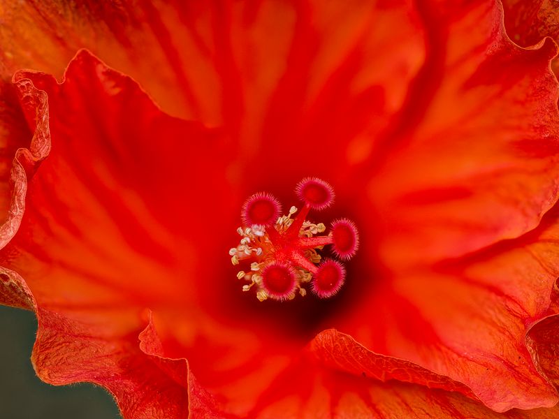 2024-05-19-11.44.31 ZS PMax_35_openWith.jpg