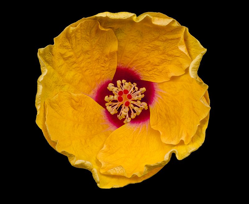 2024-05-21-10.04.17 ZS retouched_openWith.jpg