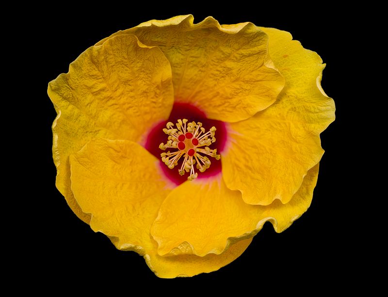 2024-05-21-12.57.04 ZS retouched_openWith.jpg