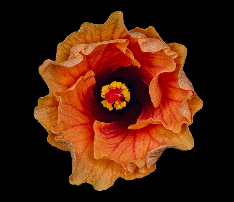 2024-05-22-05.33.06 ZS PMax_openWith.jpg