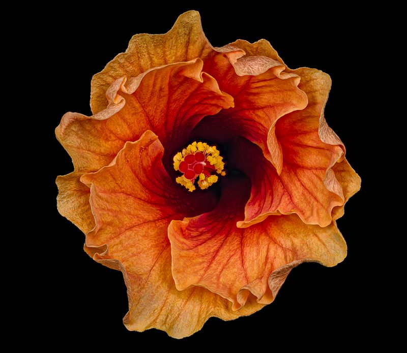 2024-05-22-06.01.18 ZS PMax_openWith.jpg