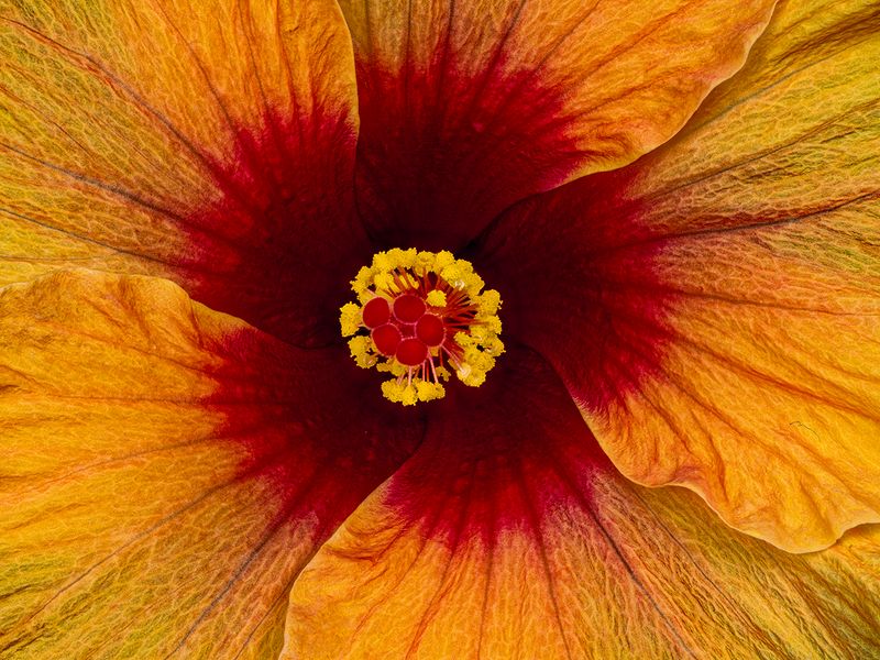 2024-05-22-03.03.24 ZS retouched_openWith.jpg