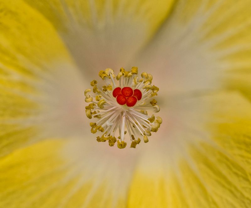 2024-05-23-10.27.53 ZS retouched_openWith.jpg