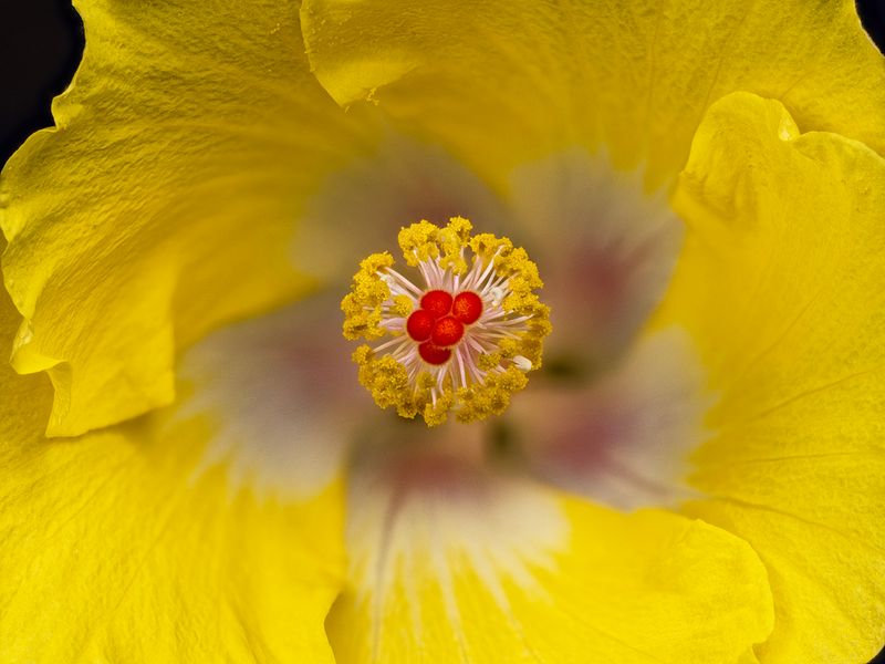 2024-05-26-07.45.04 ZS retouched_50_openWith.jpg