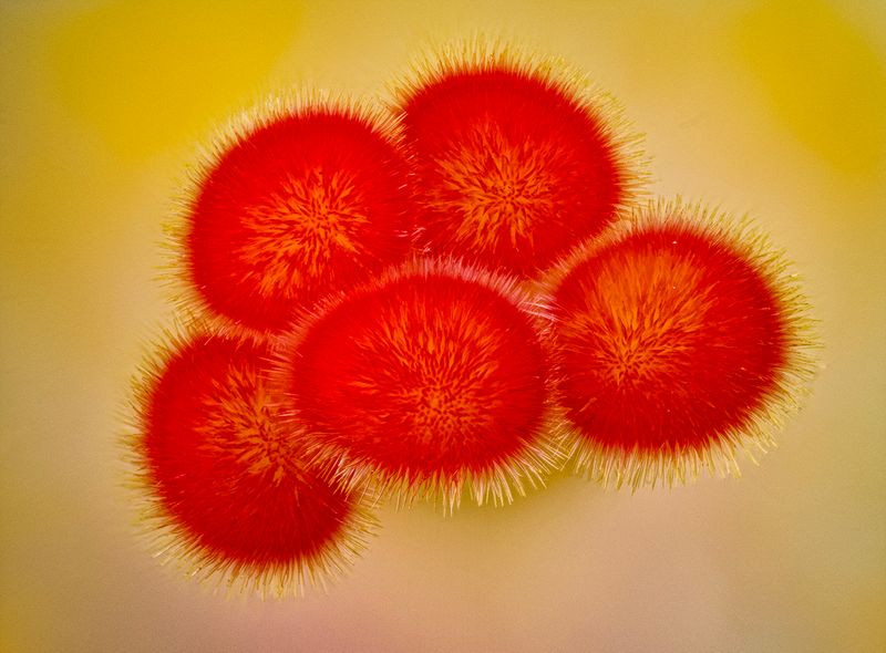 2024-05-26-01.45.50 ZS retouched_openWith.jpg