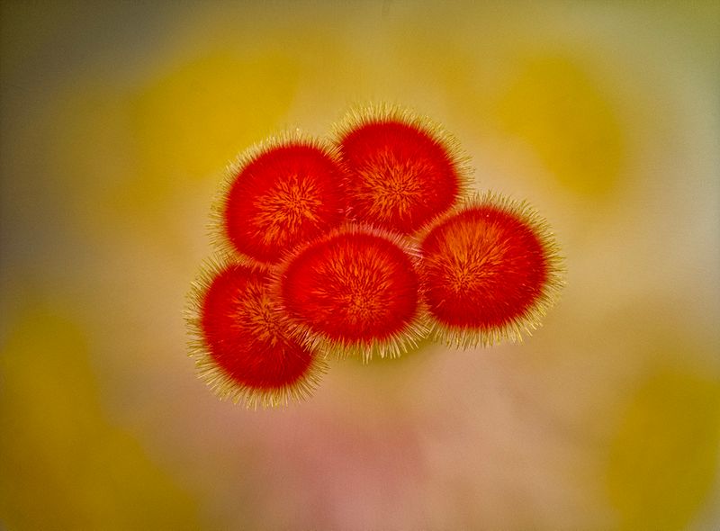 2024-05-26-01.03.59 ZS PMax_openWith.jpg