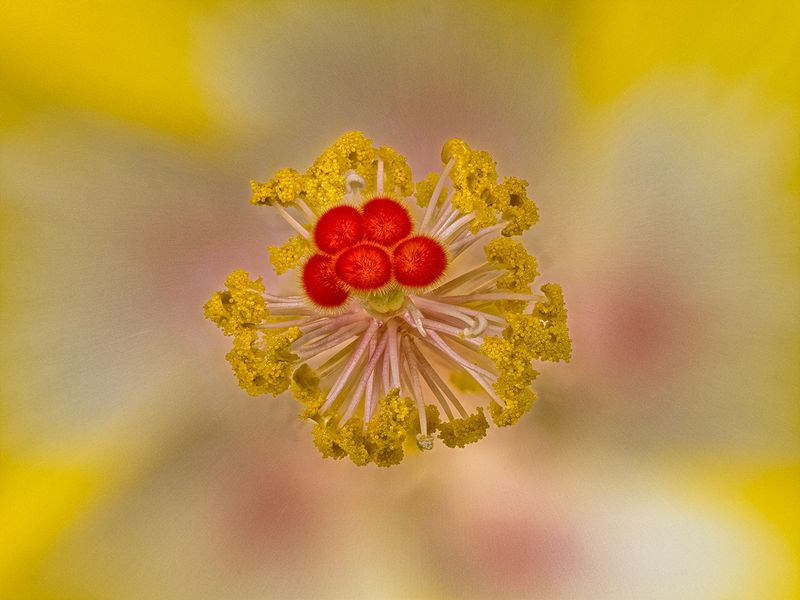 2024-05-26-12.33.48 ZS retouched_openWith.jpg