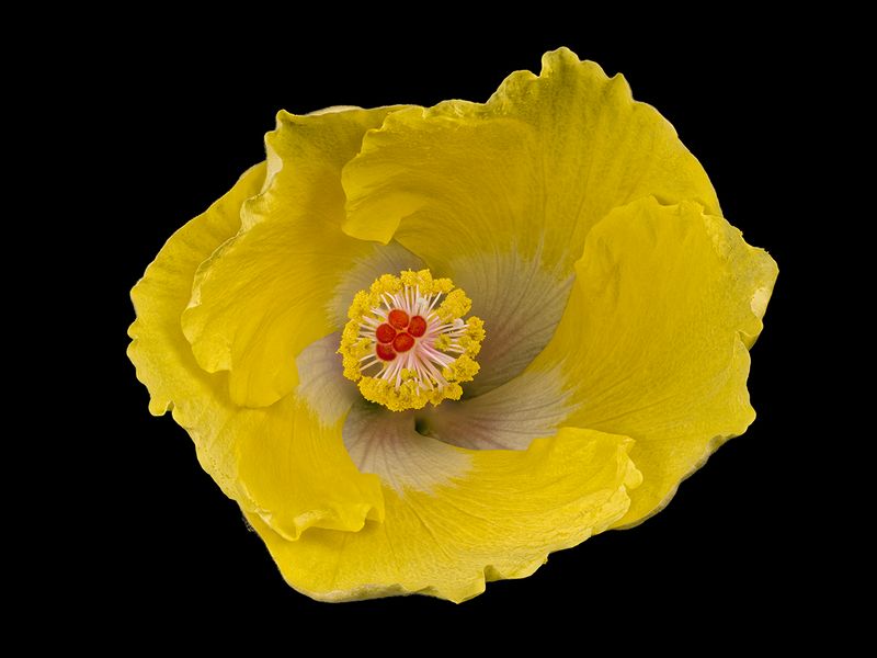 2024-05-27-10.14.15 ZS retouched_openWith.jpg