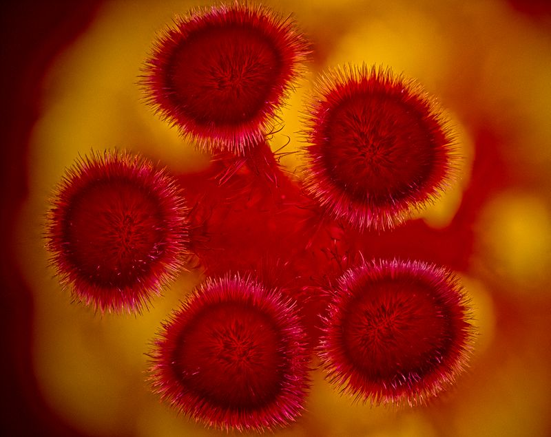 2024-05-27-05.45.27 ZS PMax_openWith.jpg