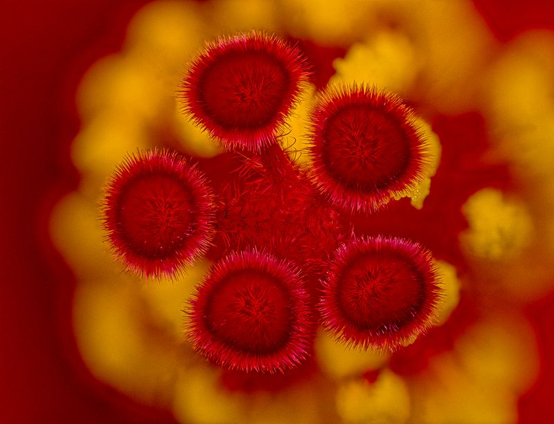 2024-05-27-05.54.53 ZS PMax_openWith.jpg